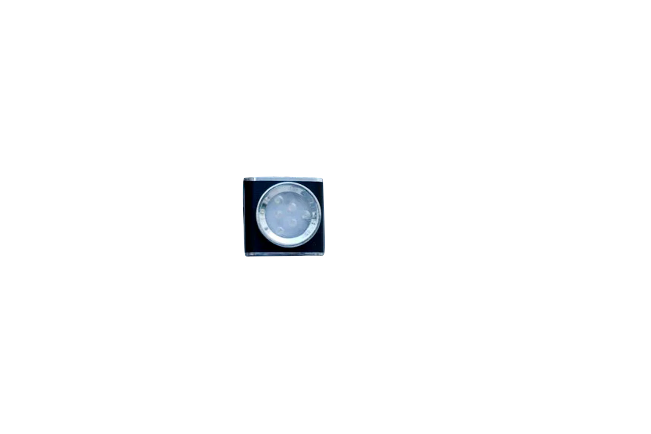LED Portable Light - Wild Land - Image 15