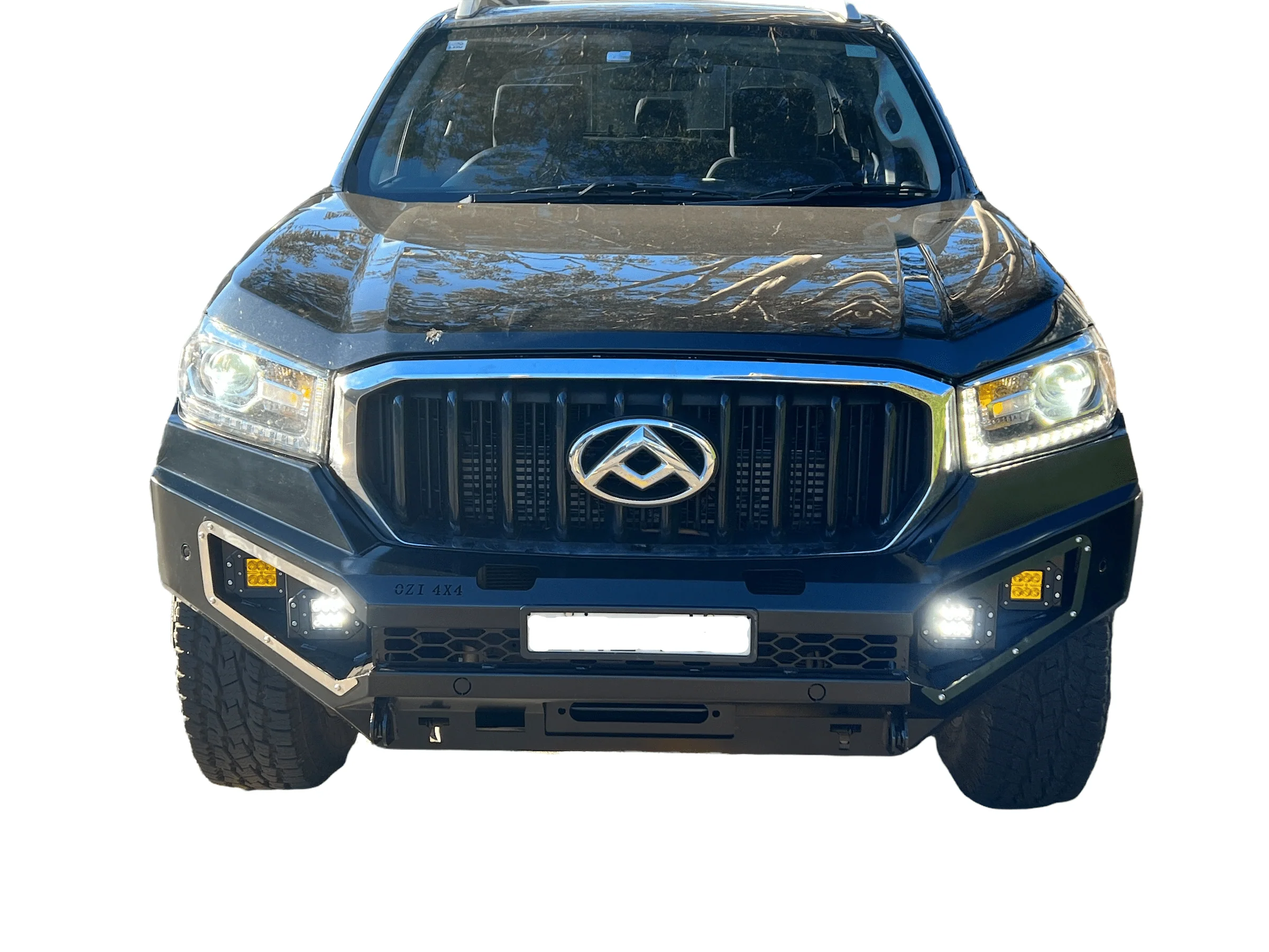 Viper Bullbar Suits LDV T60 2017 - 2022 - Image 18